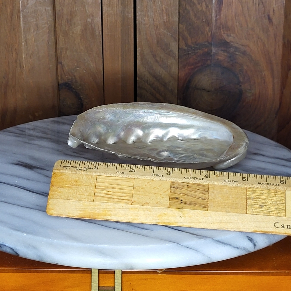 Iridescent Abalone Shell Pair - Picture 9 of 16